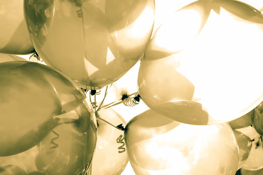 White Balloons, close-up, green, no people, full frame, nature HD wallpaper