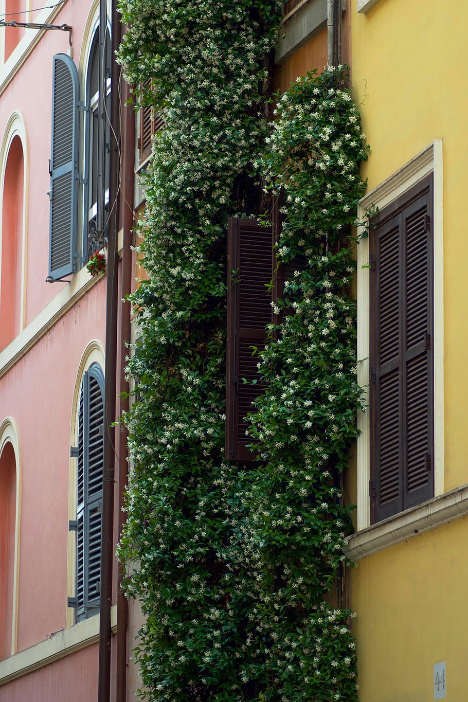 italy, rome, built structure, architecture, building exterior HD wallpaper