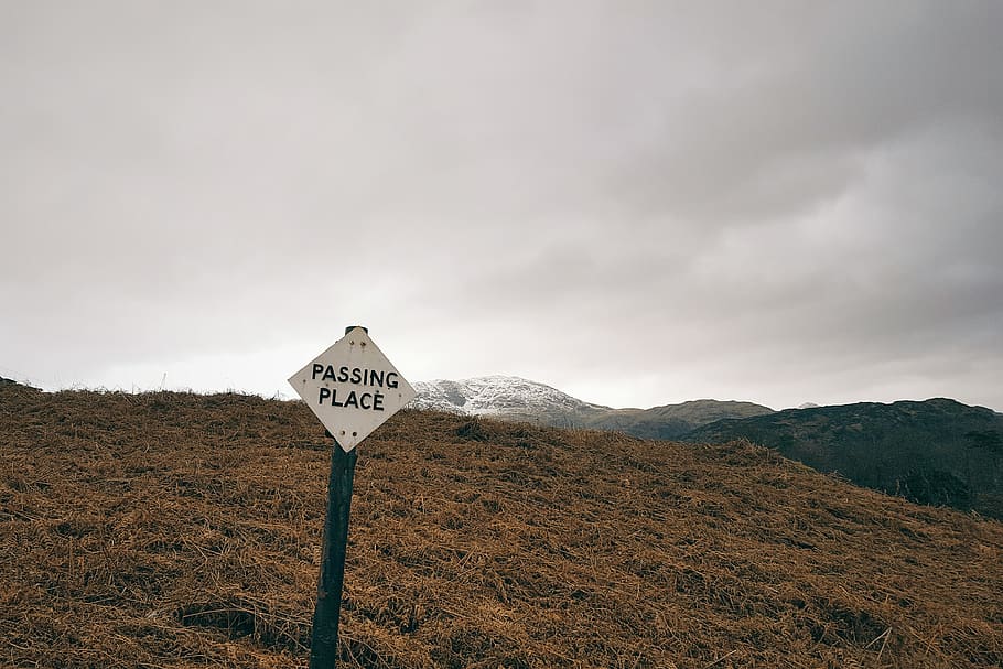 white and black signage, symbol, nature, united kingdom, tarn hows HD wallpaper
