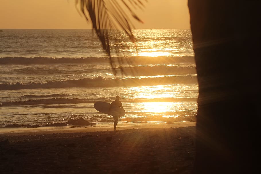 beach, sea, coast, sand, ocean, horizon, light, sun, sunrise HD wallpaper
