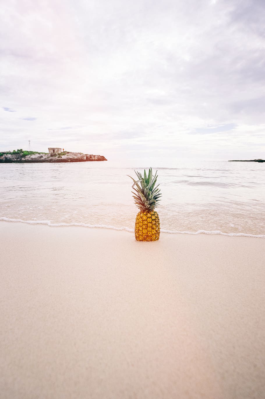 Pineapple Fruit on Seashore during Daytime, beach, coast, ocean HD wallpaper