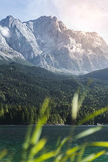 view of mountains from grass field, lake, peak, rugged, forest HD wallpaper