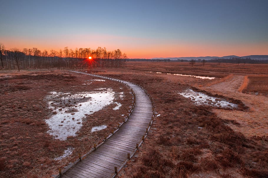 path walk, nature, outdoors, ground, building, bridge, boardwalk HD wallpaper