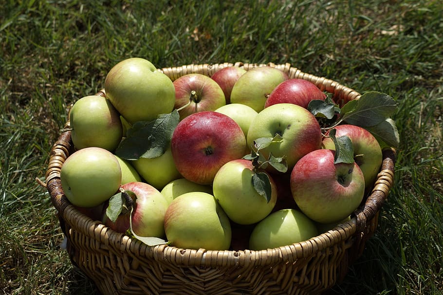 Фото корзина яблок