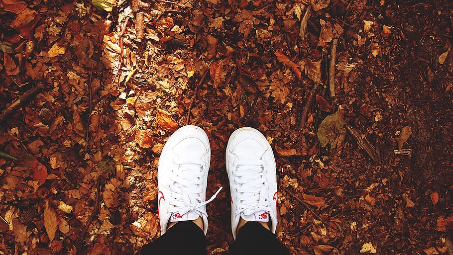 person standing on dried leaves, shoe, human, people, clothing, HD wallpaper