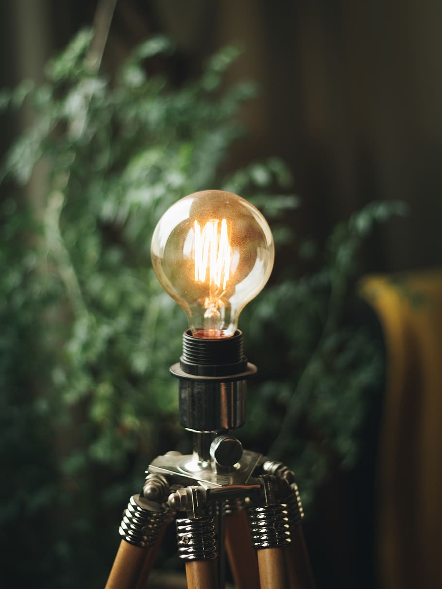 Selective Focus Photography of Bulb, blurred background, close-up HD wallpaper