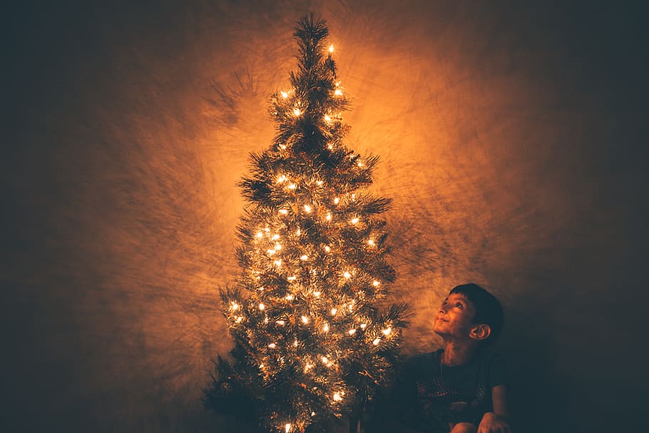 smiling boy beside Christmas tree with lighted string lights HD wallpaper