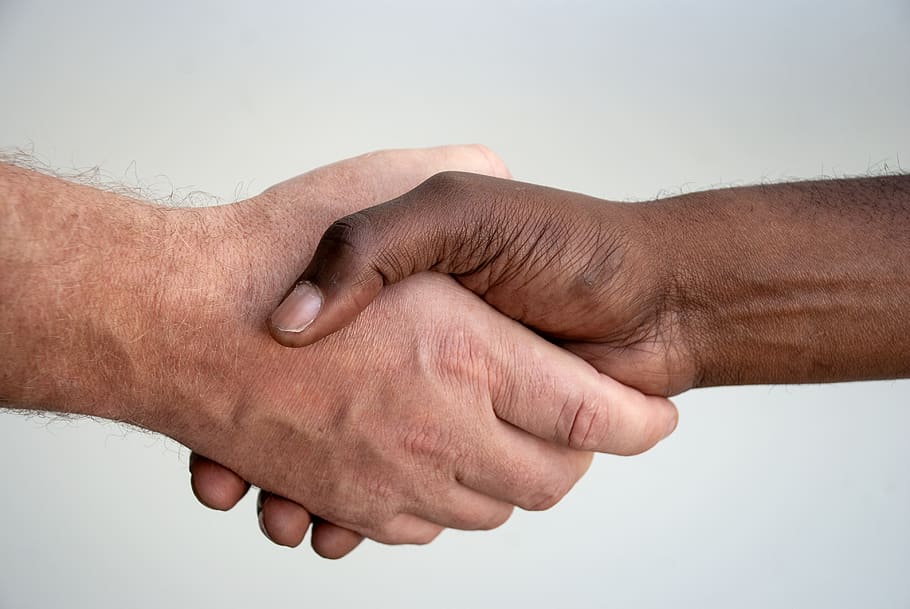 hands, handshake, people, contract, diversity, black, white, HD wallpaper