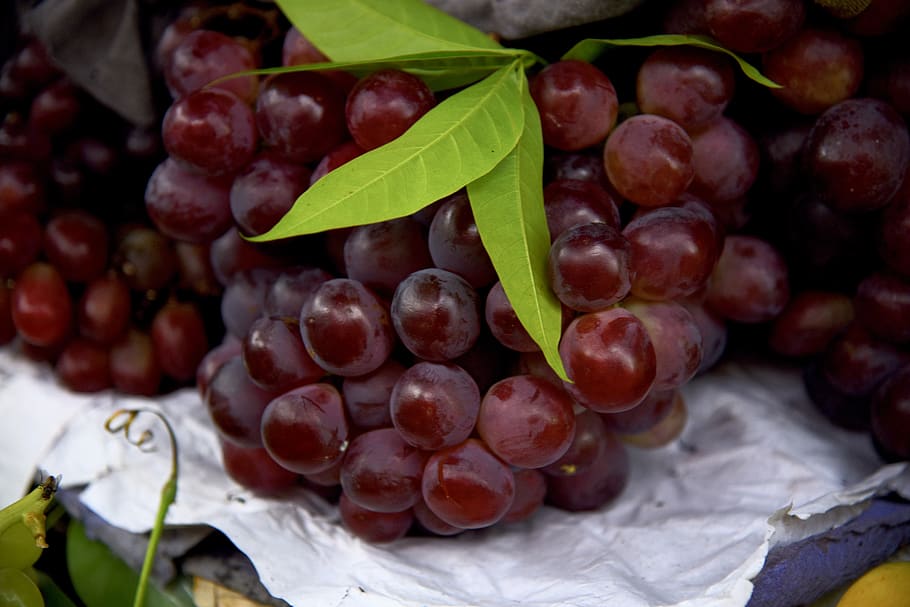 plant, fruit, food, grapes, apple, cherry, vine, produce, blueberry, HD wallpaper