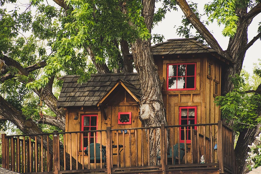Brown Wooden House Near Trees, architecture, building, daylight HD wallpaper