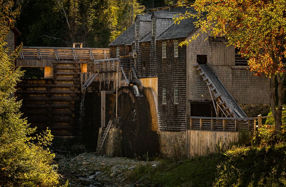 Brown 2-storey Building Covered With Forest, abandoned, architecture HD wallpaper