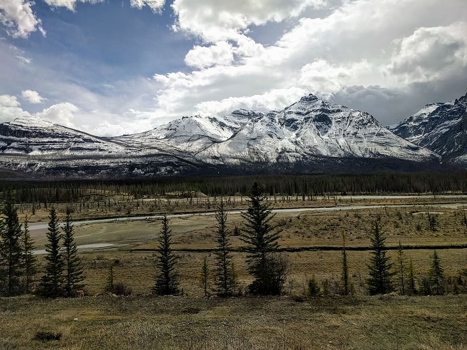 canada, alberta, mountain, snow, cold temperature, scenics - nature HD wallpaper