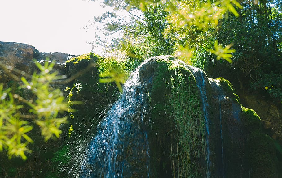 spain, campdevànol, nature, waterfall, forest, plant, motion HD wallpaper