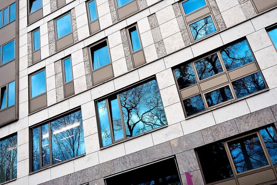 Trees Reflection on Building, apartment, architecture, blue, city HD wallpaper