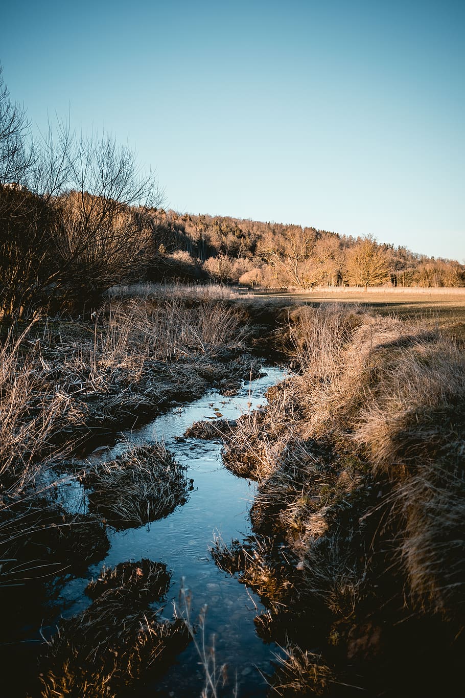 river between brown grass under blue sky, ditch, nature, land HD wallpaper
