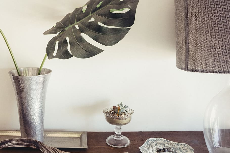 table, accent, vase, plant, lamp, shade, wood, indoors, food and drink HD wallpaper