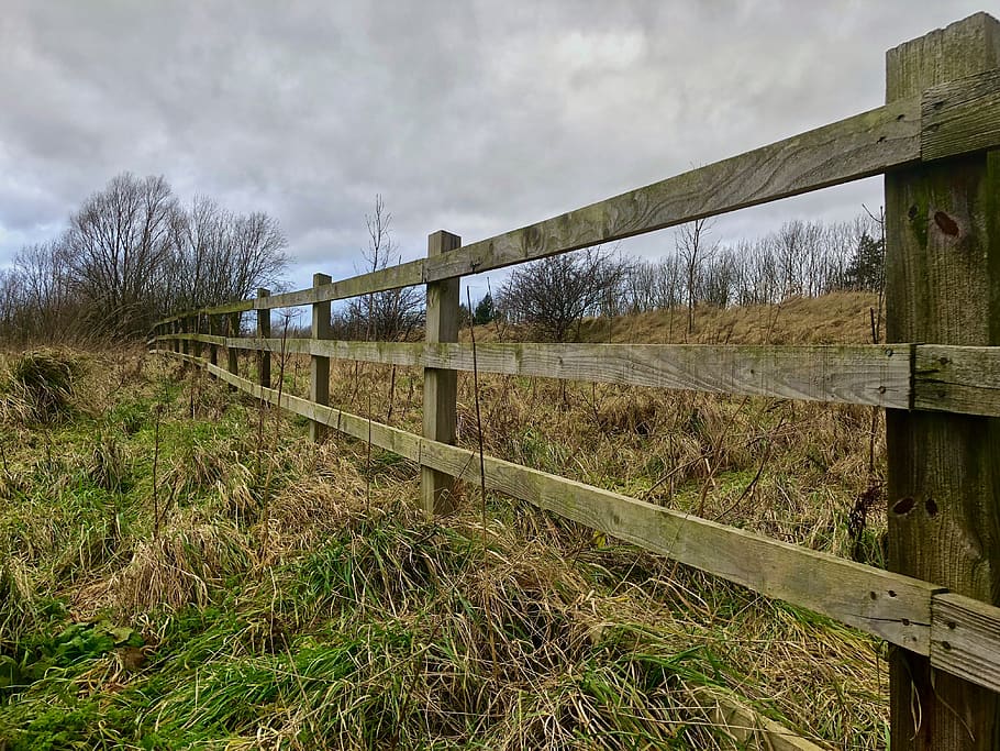 fence, landscape, grass, nature, natural, green, cloud - sky HD wallpaper