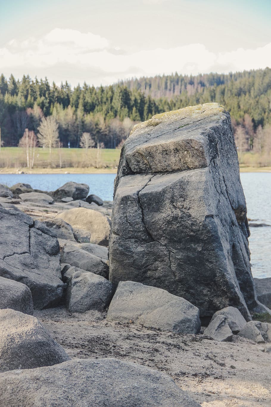 rock, rubble, tree, plant, slate, fir, abies, road, promontory HD wallpaper