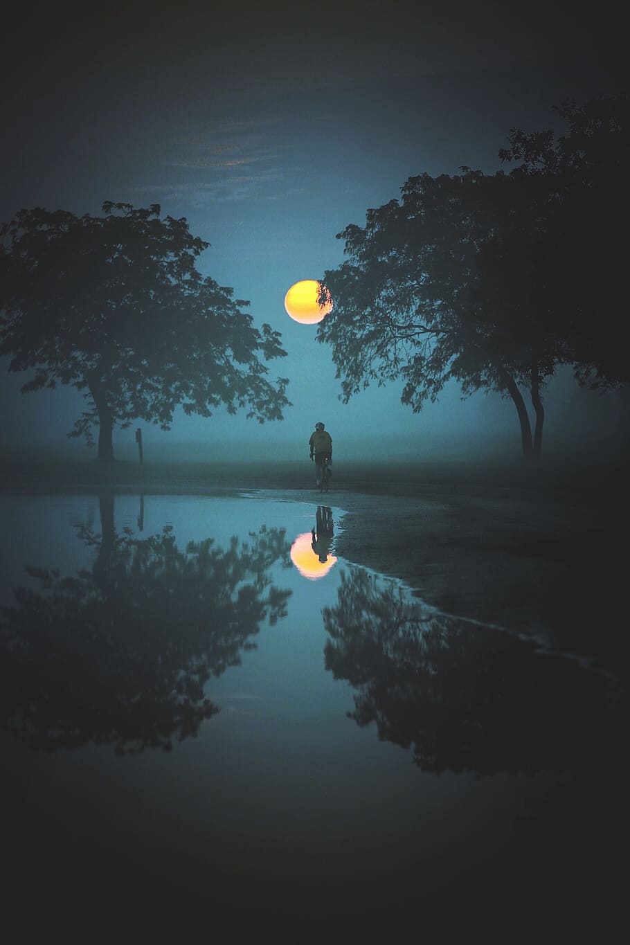 person standing and looking at moon, full moon, trees, lake, puddle HD wallpaper