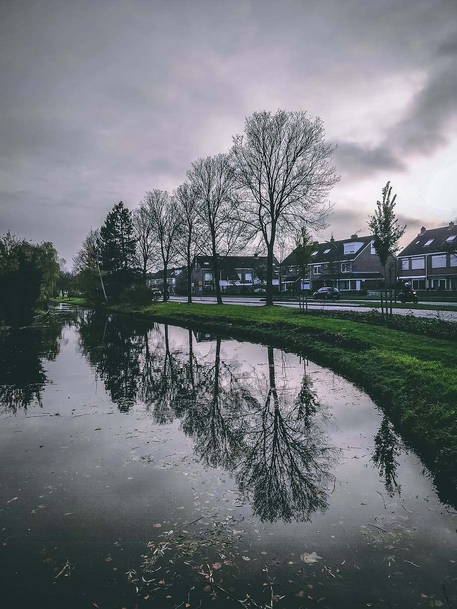 trees, lake, reflection, water, nordic, houses, winter, cold HD wallpaper
