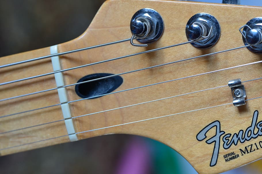 guitar, stratocaster, strings, instrument, musician, fender HD wallpaper