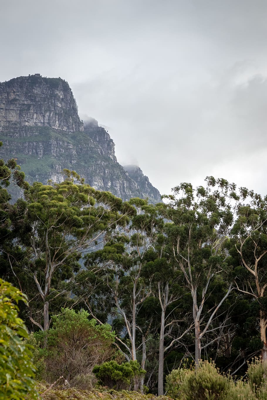 outdoors, nature, tree, plant, slope, vegetation, land, promontory HD wallpaper