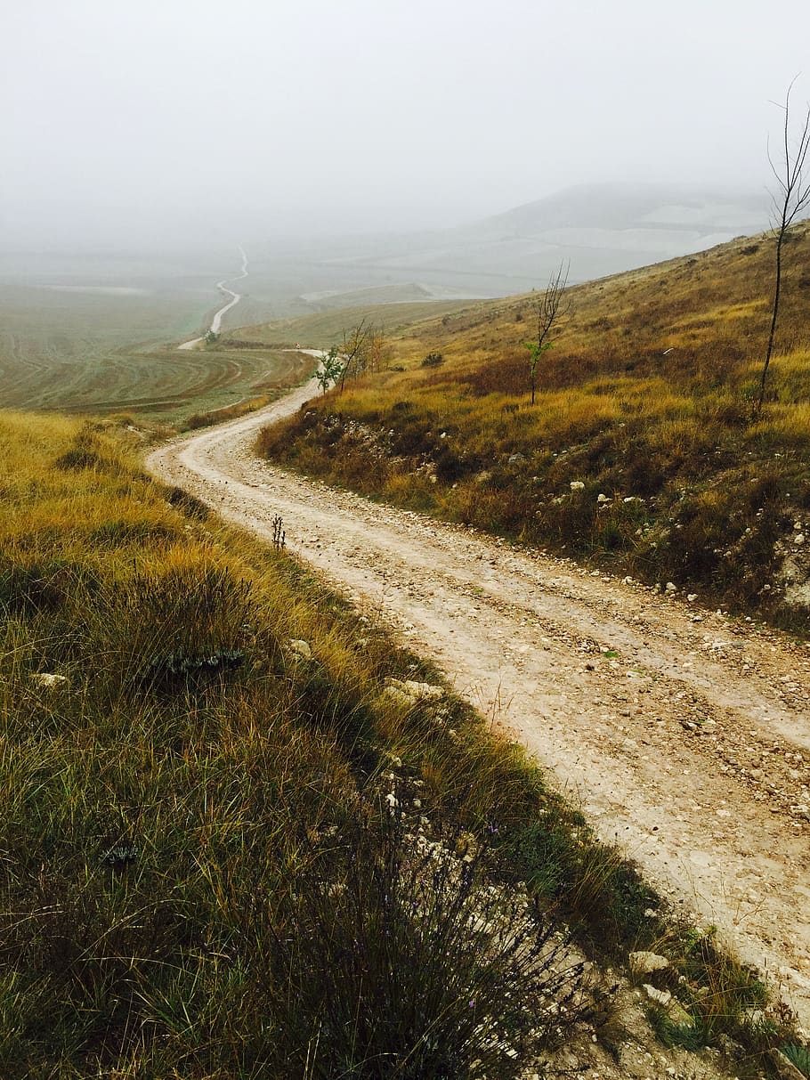 pathway along mountain, landscape, environment, grass, road, tranquility HD wallpaper