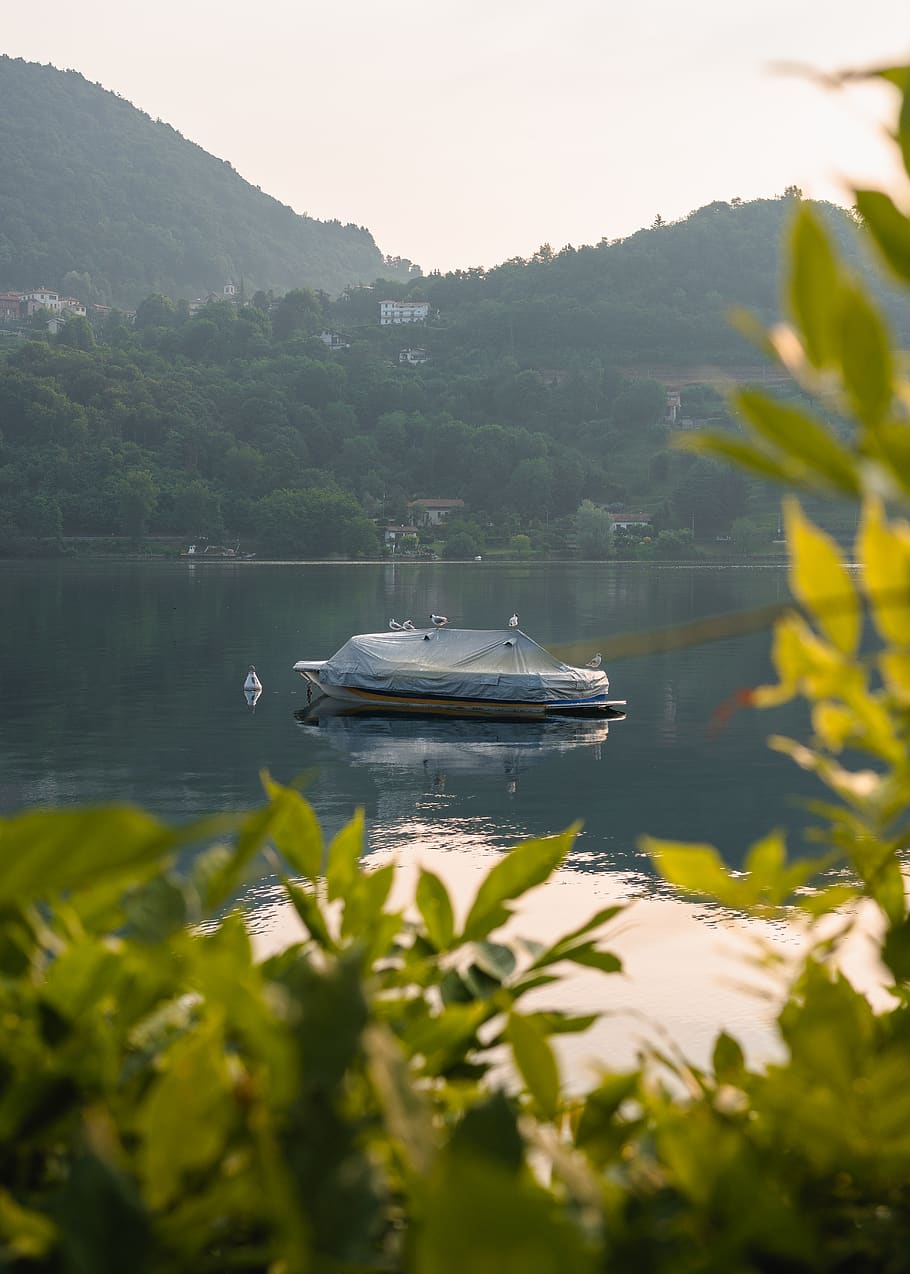 italy, lake orta, sun rays, plants, boat, morning, seagulls HD wallpaper