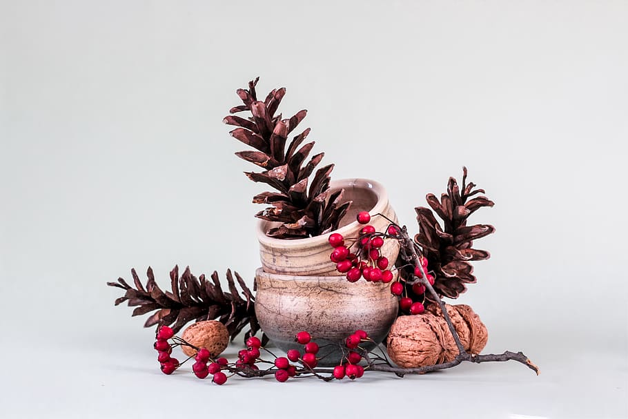 acorns and red berries, studio shot, indoors, no people, still life HD wallpaper