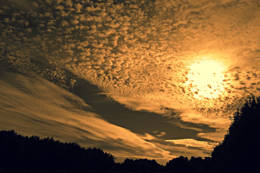 Golden Hour Under White Cloudy Sky, clouds, dawn, light, nature HD wallpaper