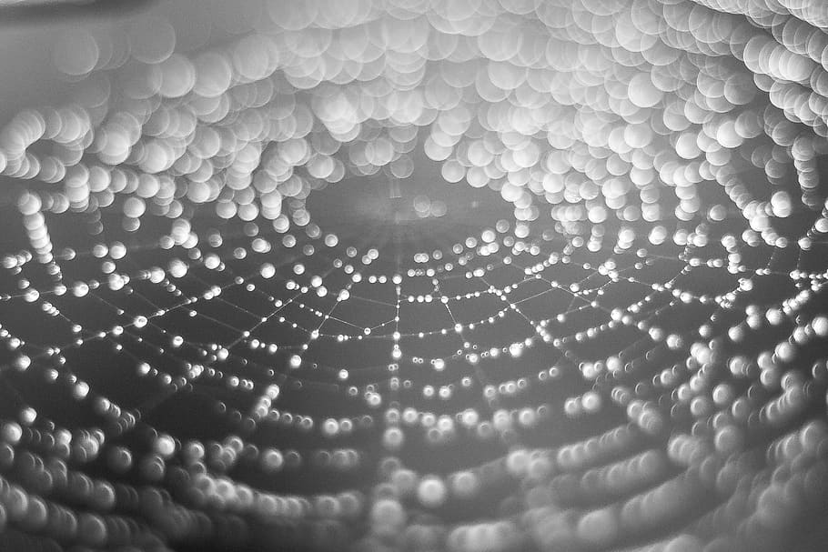 backgrounds, close-up, full frame, pattern, no people, extreme close-up HD wallpaper