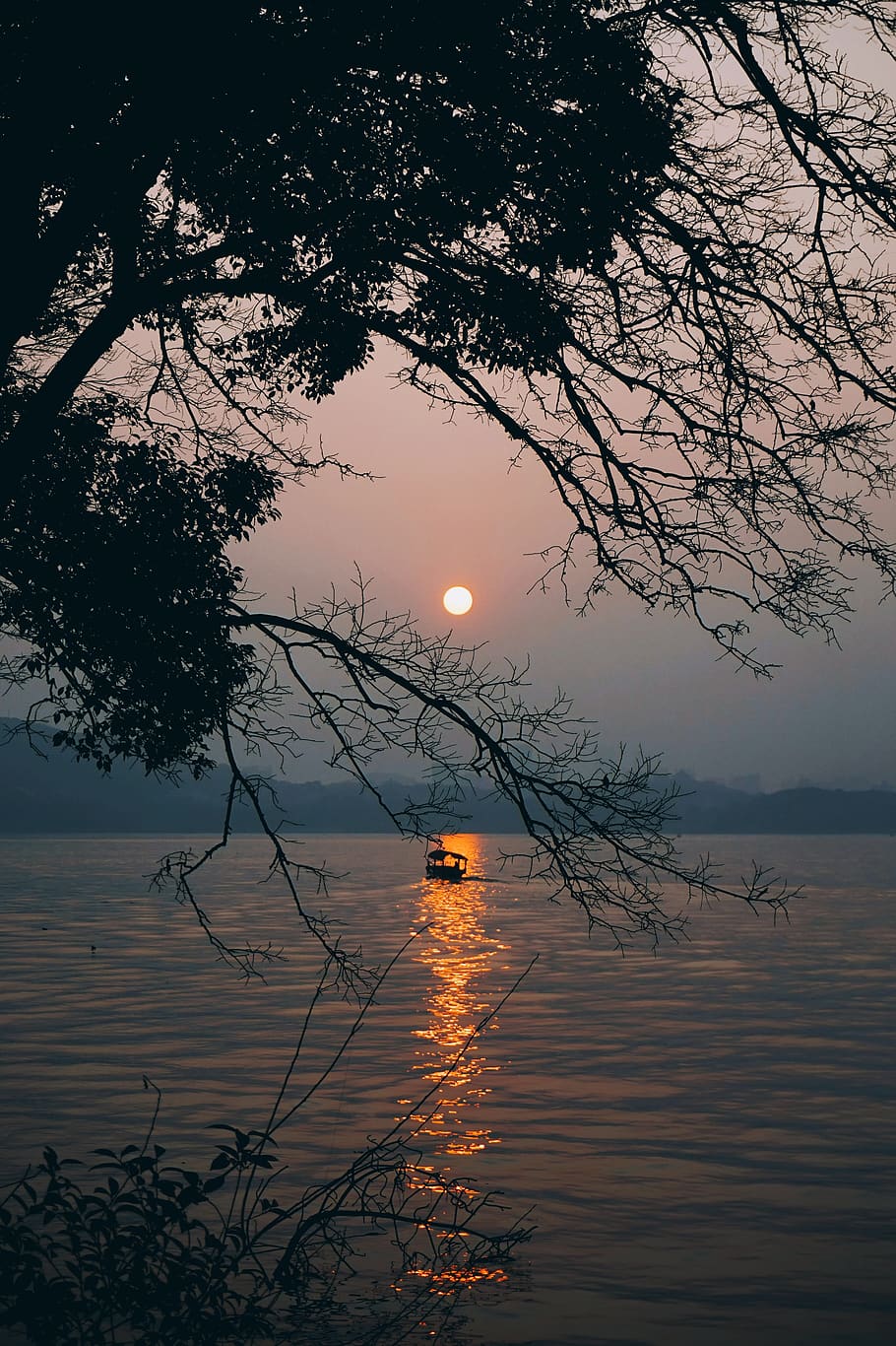 lake, sunset, water, sky, tree, scenics - nature, tranquility HD wallpaper