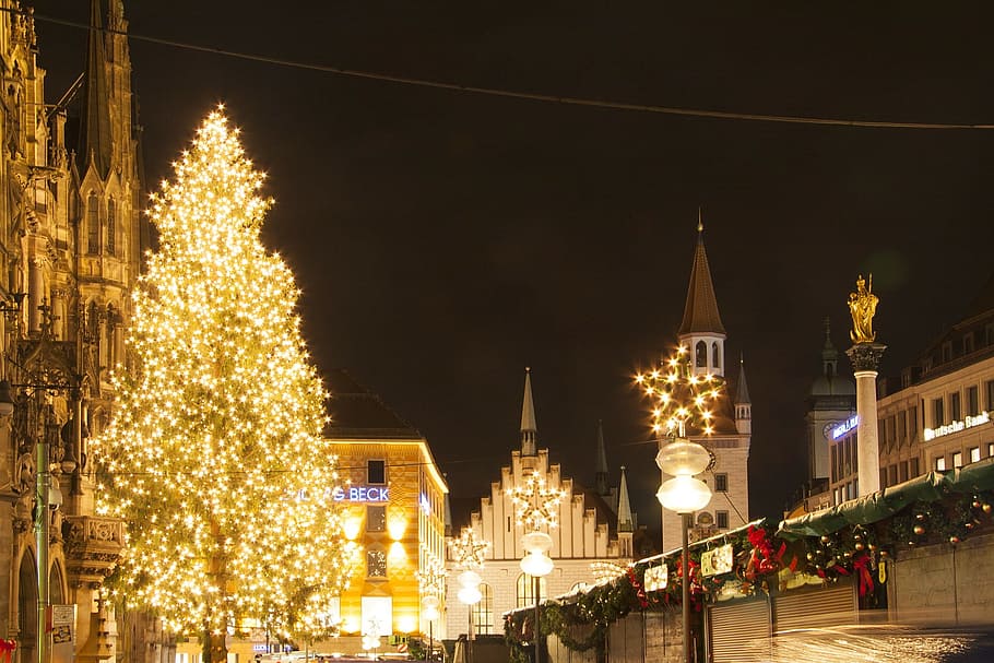 city, town, hall, construction, architecture, building, christmas HD wallpaper