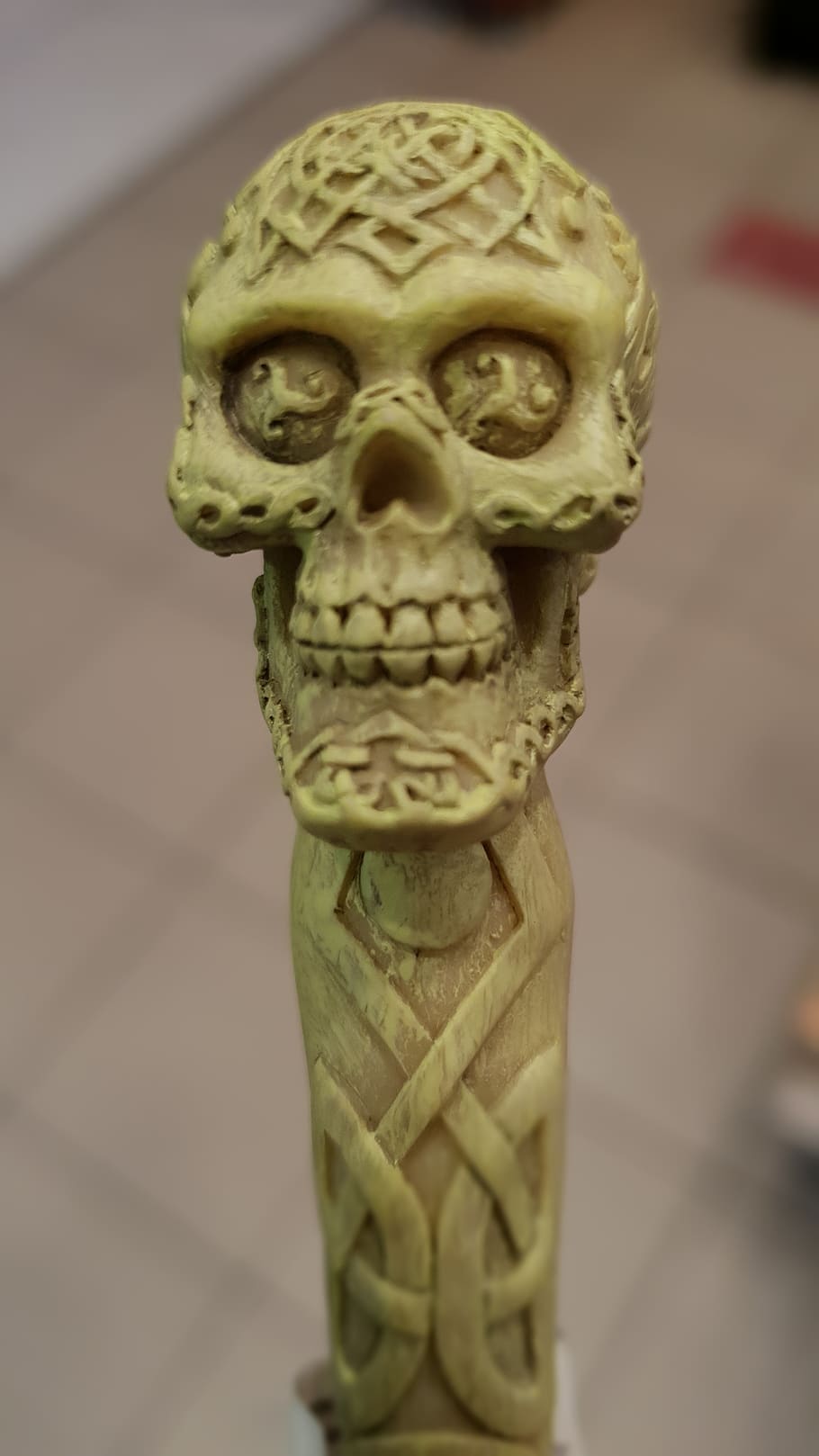 dead head, pen head, skull, human skeleton, human skull, close-up HD wallpaper