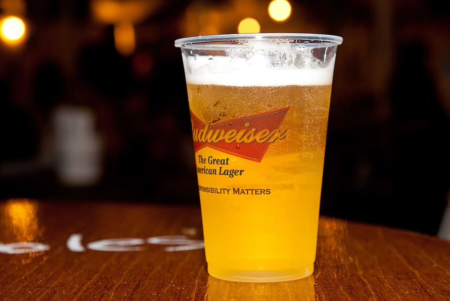 beer, bud, drink, refreshment, food and drink, drinking glass HD wallpaper