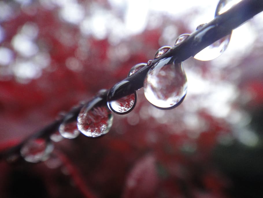 line, sucession, water, fall, autumn, tree, red, reflection HD wallpaper