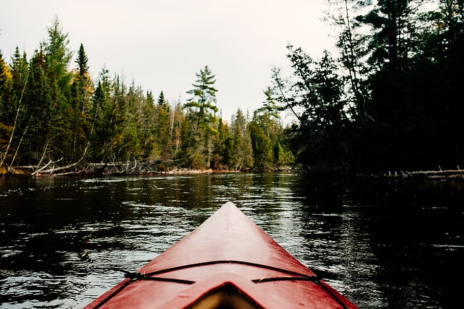 red kayak on river, tree, water, plant, nautical vessel, lake HD wallpaper