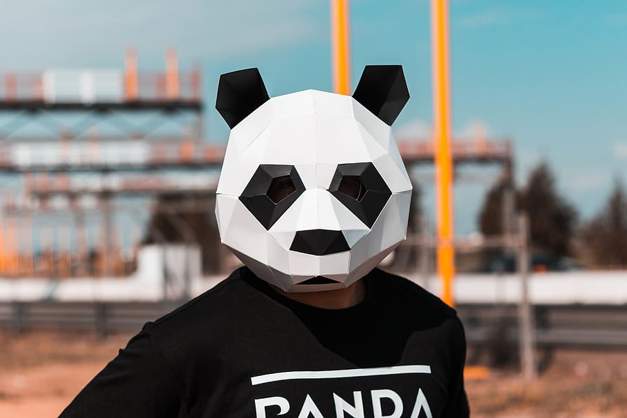 Person Wearing White and Black Panda Full-face Mask, close-up