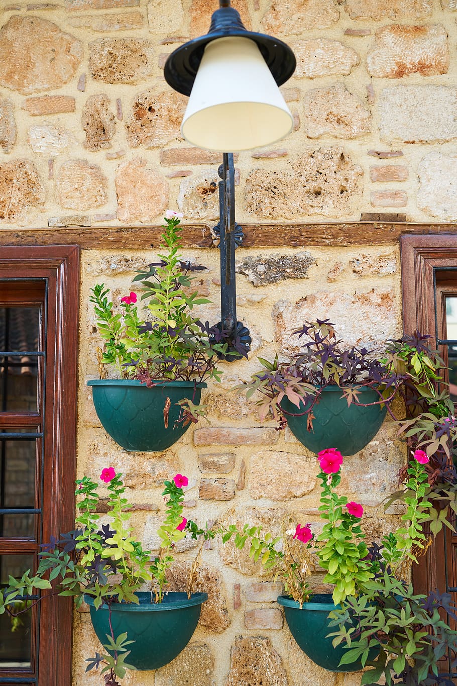 window, flowerpot, wall, home, plant, nature, green, spring HD wallpaper
