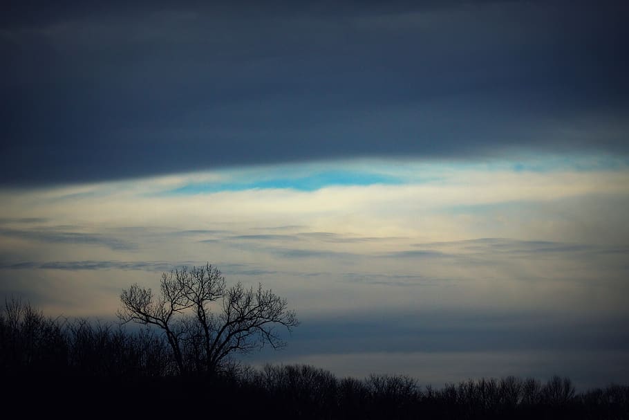 Photograph of Bare Trees, branch, clouds, dark, dawn, environment HD wallpaper
