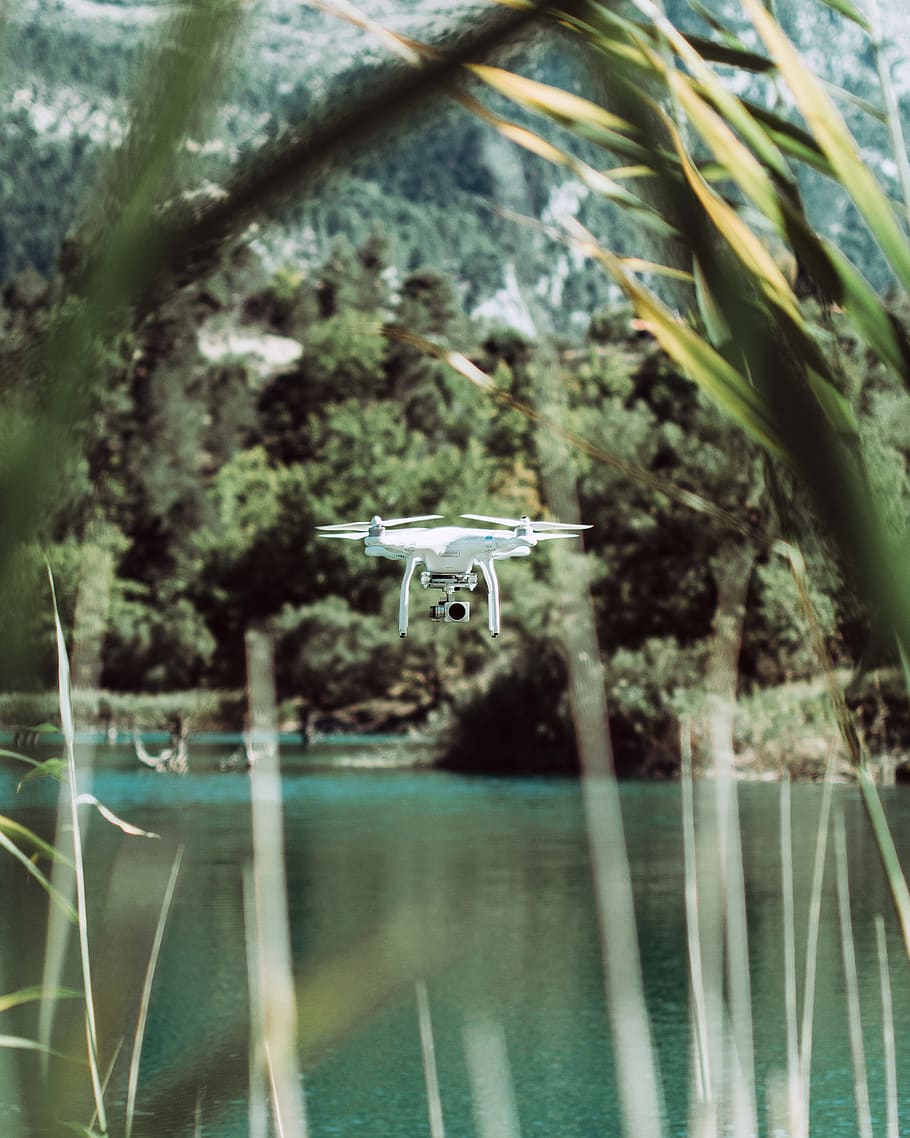 DJI Phantom 4 drone flying near body of water, outdoors, plant