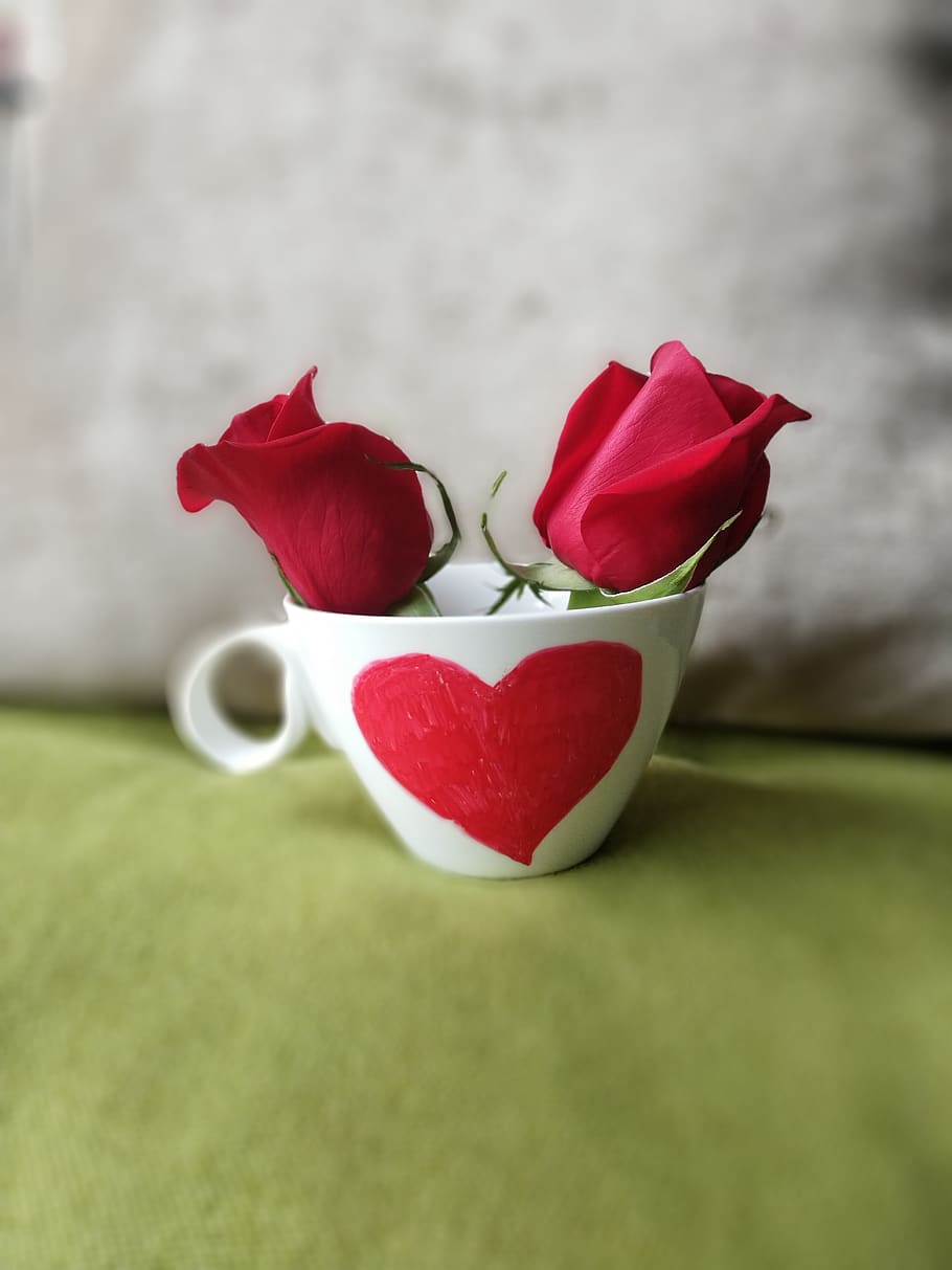 hart, cup, roses, red, flower, plant, flowering plant, heart shape HD wallpaper