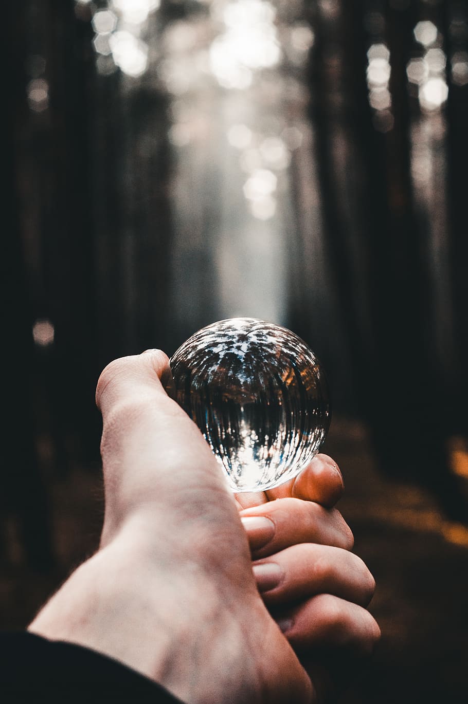 person holding clear glass ball across woods, sphere, human, finger, HD wallpaper