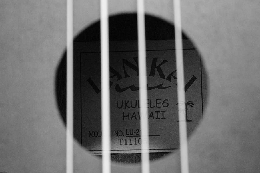 ukulele, music, kalani, text, close-up, western script, communication