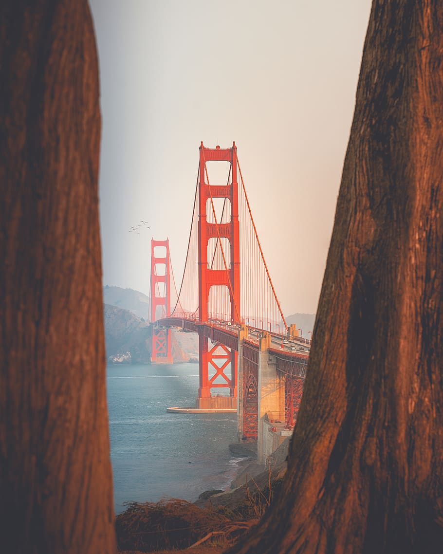 Golden Gate Bridge, San Francisco, architectrure, architecture HD wallpaper