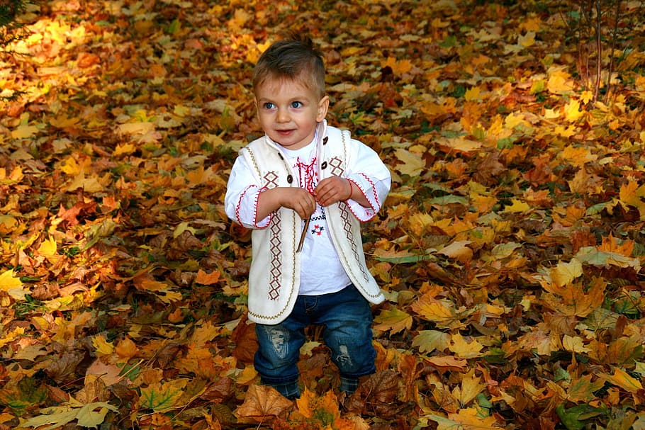 kid, cute, cuteness, clothes, child, autumn, nature, childhood HD wallpaper