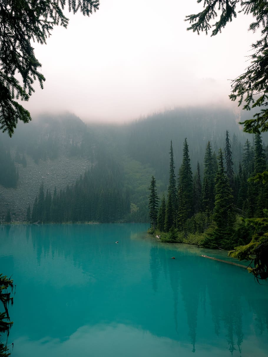 Banff National Park, lake, tree, mountain, fog, forest, cloud HD wallpaper