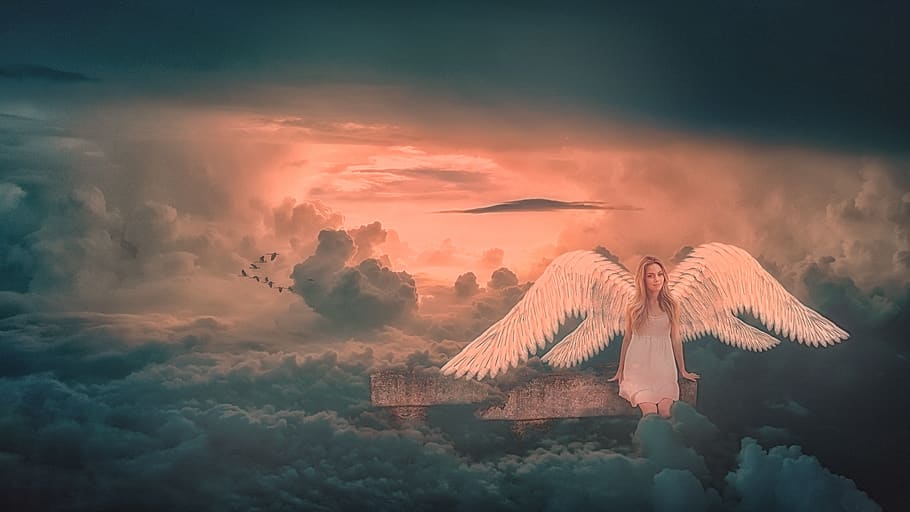 angel, wing, clouds, sunset, mood, panorama, nature, dawn, sky HD wallpaper