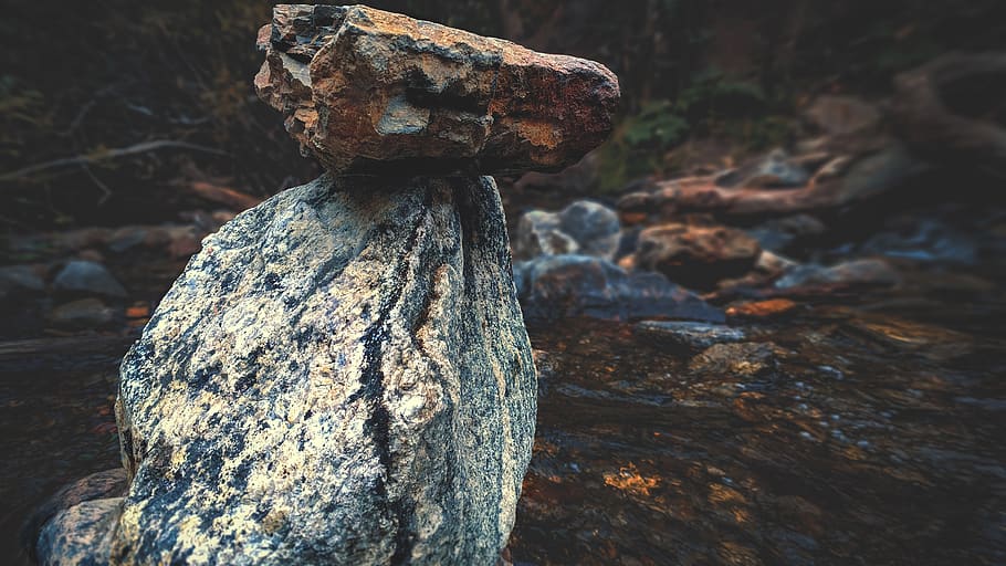 rocks, creek, river, stream, nature, water, focus on foreground HD wallpaper