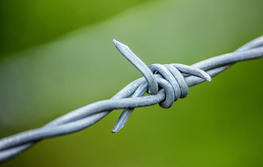 HD wallpaper: barbed wire, barb wire, metal, boundary, pointed ...